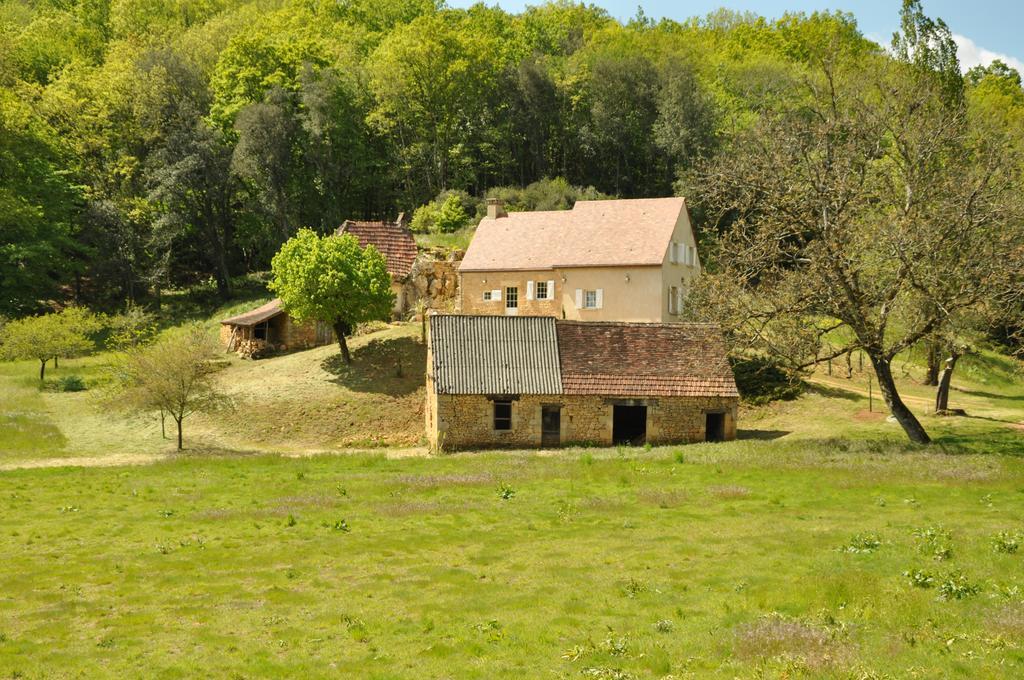 Gite Chez Le Gaulois Carsac-Aillac Exterior photo